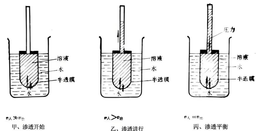 浸與滲:解析二者的差異 浸與滲:解析二者的差異